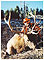 Elk Hunting in Montana