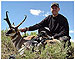 Antelope Hunting in Montana