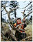 Elk Hunting in Montana
