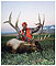 Elk Hunting in Montana