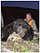 Bear Hunting in Montana