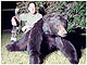 Bear Hunting in Montana