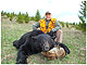 Bear Hunting in Montana