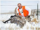 Deer Hunting in Montana