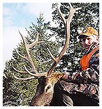 Elk Hunting