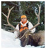 Elk Hunting