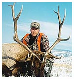 Elk Hunting
