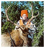 Elk Hunting