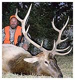 Elk Hunting