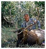 Elk Hunting