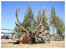 Elk Hunting