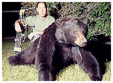 Bear Hunting