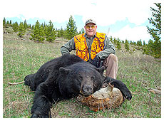 Bear Hunting
