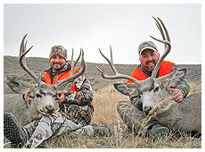 Deer Hunting