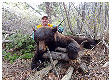 Bear Hunting