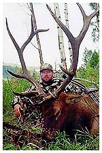 Elk Hunting